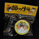 冰箱磁石小燈仔