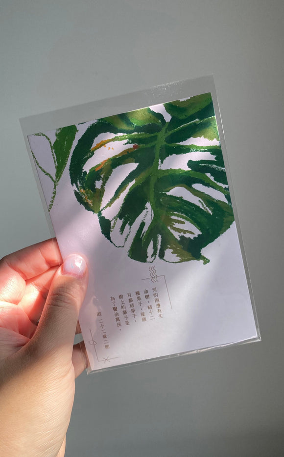 A6 Postcard -  Healing Leaf 醫治的葉子