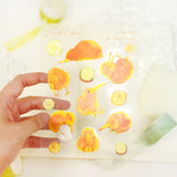 A6 PET Sticker Sheet - Kiwi Bird | A6防水PET白墨貼紙 - 奇異鳥