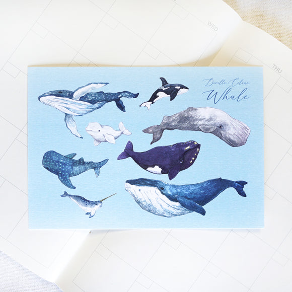 A6 Postcard - Whale Does It Belong (composed) | A6 明信片 - 鯨歸何處 (組圖)
