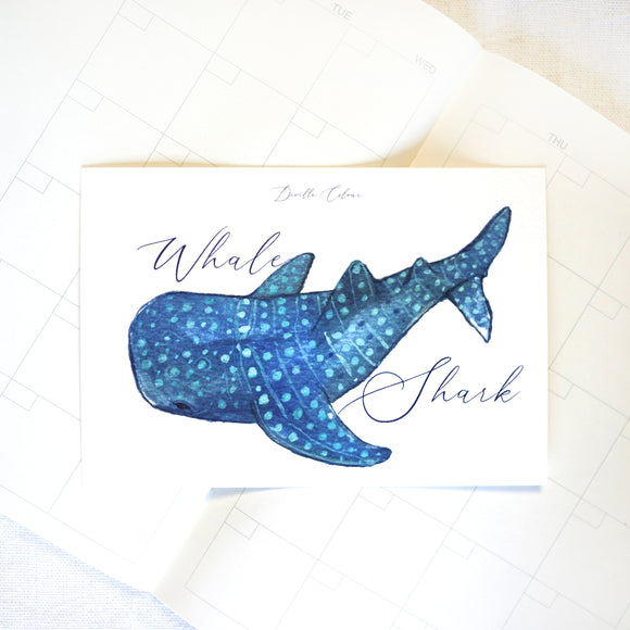 A6 Postcard - Whale Shark | A6 明信片 - 鯨鯊
