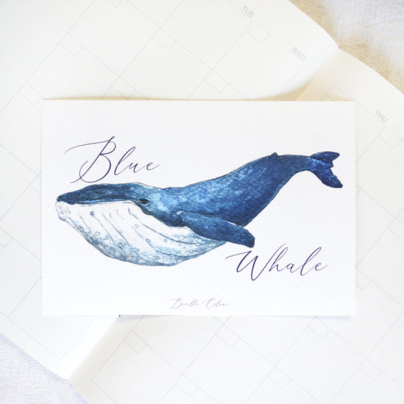 A6 Postcard - Blue Whale | A6 明信片 - 藍鯨