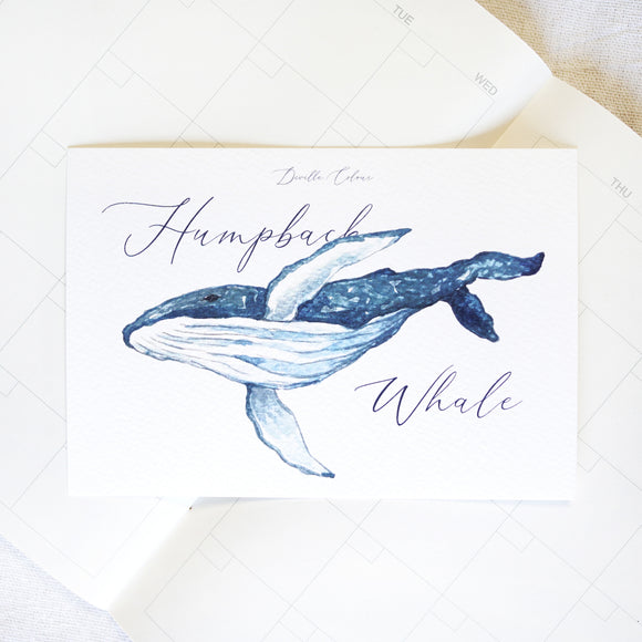 A6 Postcard - Humpback Whale | A6 明信片 - 座頭鯨