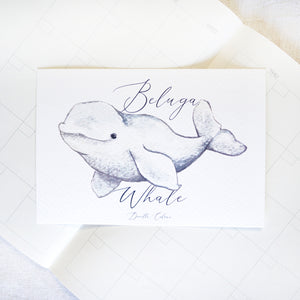 A6 Postcard - Beluga Whale | A6 明信片 - 白鲸