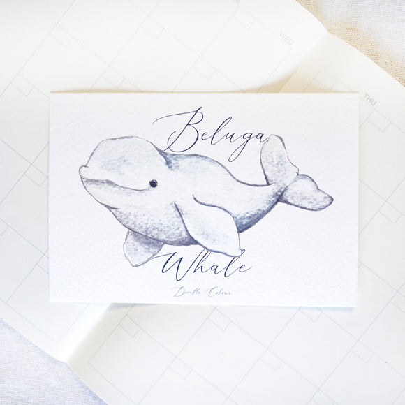 A6 Postcard - Beluga Whale | A6 明信片 - 白鲸