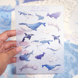 A6 Washi Sticker Sheet - Whale Does It Belong | A6和紙貼紙 - 鯨歸何處