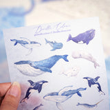 A6 Washi Sticker Sheet - Whale Does It Belong | A6和紙貼紙 - 鯨歸何處