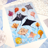 A6 Washi Sticker Sheet - Manta | A6和紙貼紙 - Manta