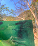 Little Half A4 Folder 小半A4透明文件夾 - 明陣