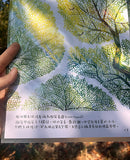 Little Half A4 Folder 小半A4透明文件夾 - Crown Shyness