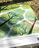 Little Half A4 Folder 小半A4透明文件夾 - Crown Shyness