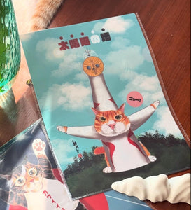 太陽猫の塔透明文件夾