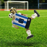 Tinbot Football Player