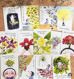 小半花語Postcard系列（一套十三張）