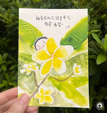 小半花語Postcard系列（一套十三張）