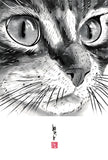 水墨畫貓明信片18 張套裝 (系列6) Chinese Ink Painting Cat Postcard Set of 18 (Series 6)