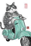 水墨畫貓明信片18 張套裝 (系列6) Chinese Ink Painting Cat Postcard Set of 18 (Series 6)