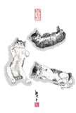 水墨畫貓明信片18 張套裝 (系列6) Chinese Ink Painting Cat Postcard Set of 18 (Series 6)