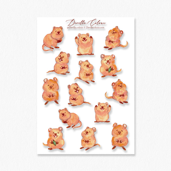 A6 PET Sticker Sheet - Cute Quokka | A6 防水PET白墨貼紙 - 笑笑短尾袋鼠