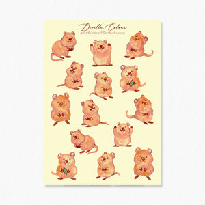 A6 Washi Sticker Sheet - Cute Quokka | A6和紙貼紙 - 笑笑短尾鼠
