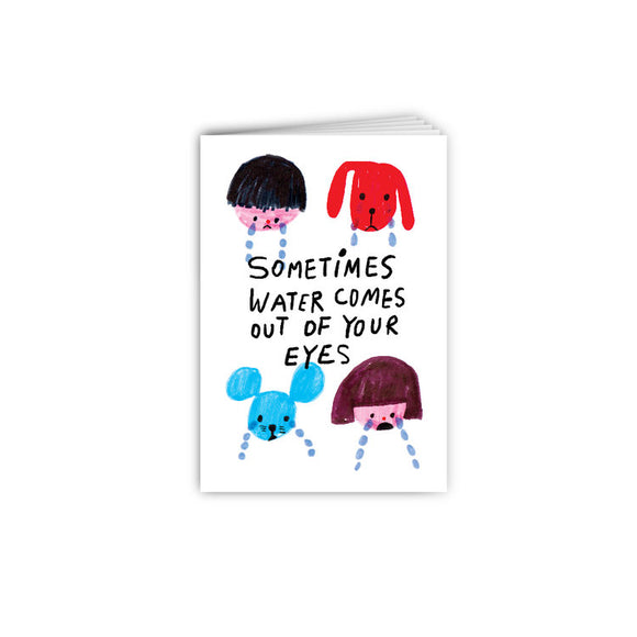 Sometimes Water Comes Out Of Your Eyes Storybook 眼淚小書