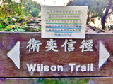 Hong Kong Hiking Trail Masking Tape (Wilson trail and MacLehose Trail) 香港行山徑紙膠帶(麥理浩徑,衛奕信徑)